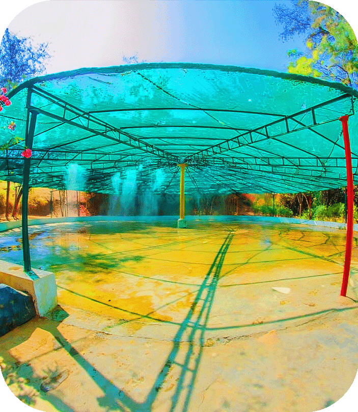 Training Image